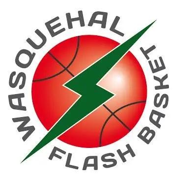 Logo Wasquehal flash basket-ball